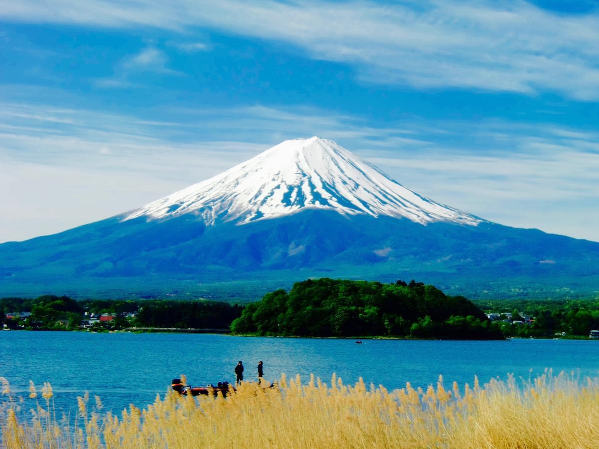 Mt Fuji Cat&Dog&Spa Pension Blue Poppy Fujikawaguchiko Ngoại thất bức ảnh