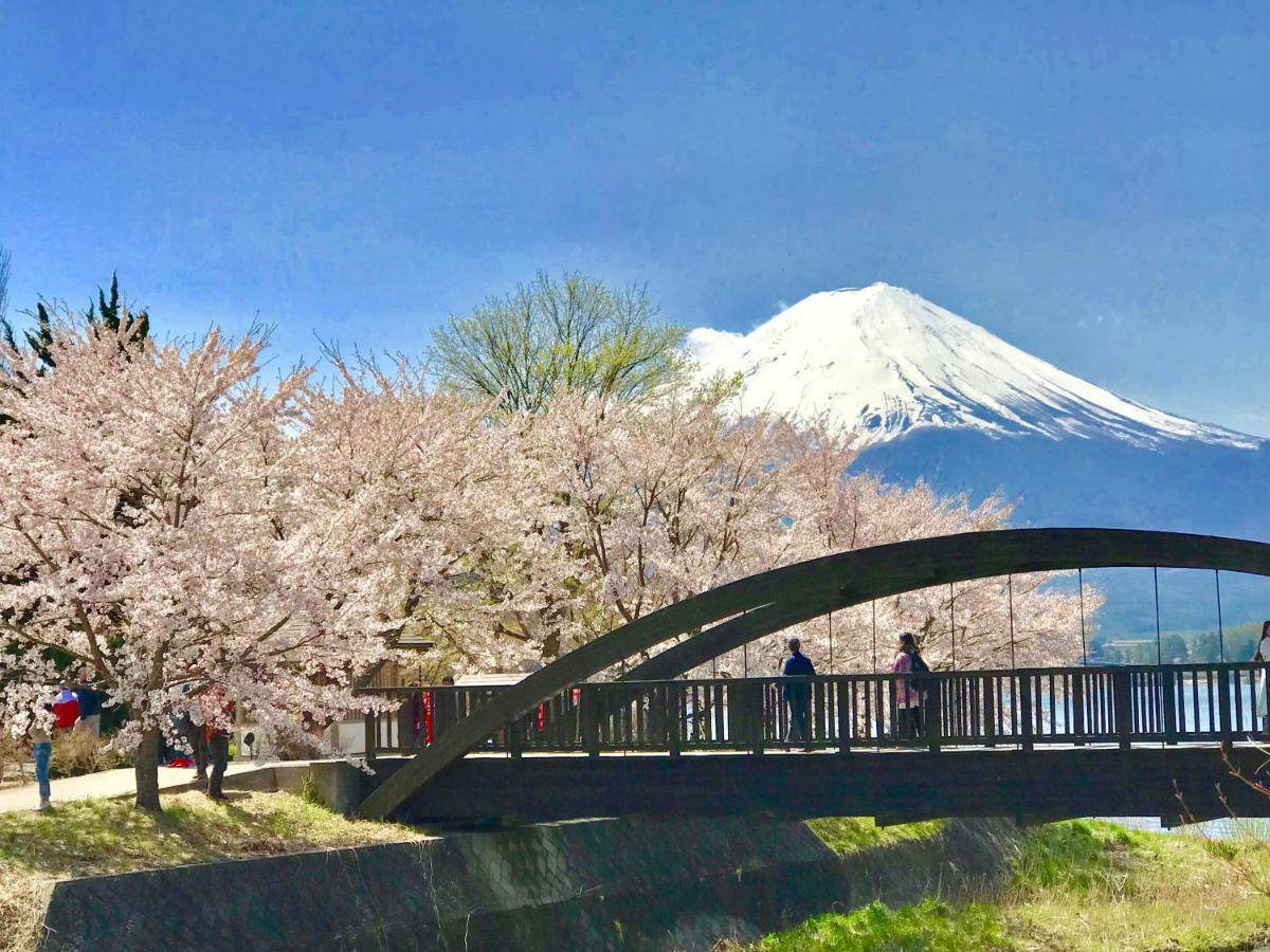 Mt Fuji Cat&Dog&Spa Pension Blue Poppy Fujikawaguchiko Ngoại thất bức ảnh