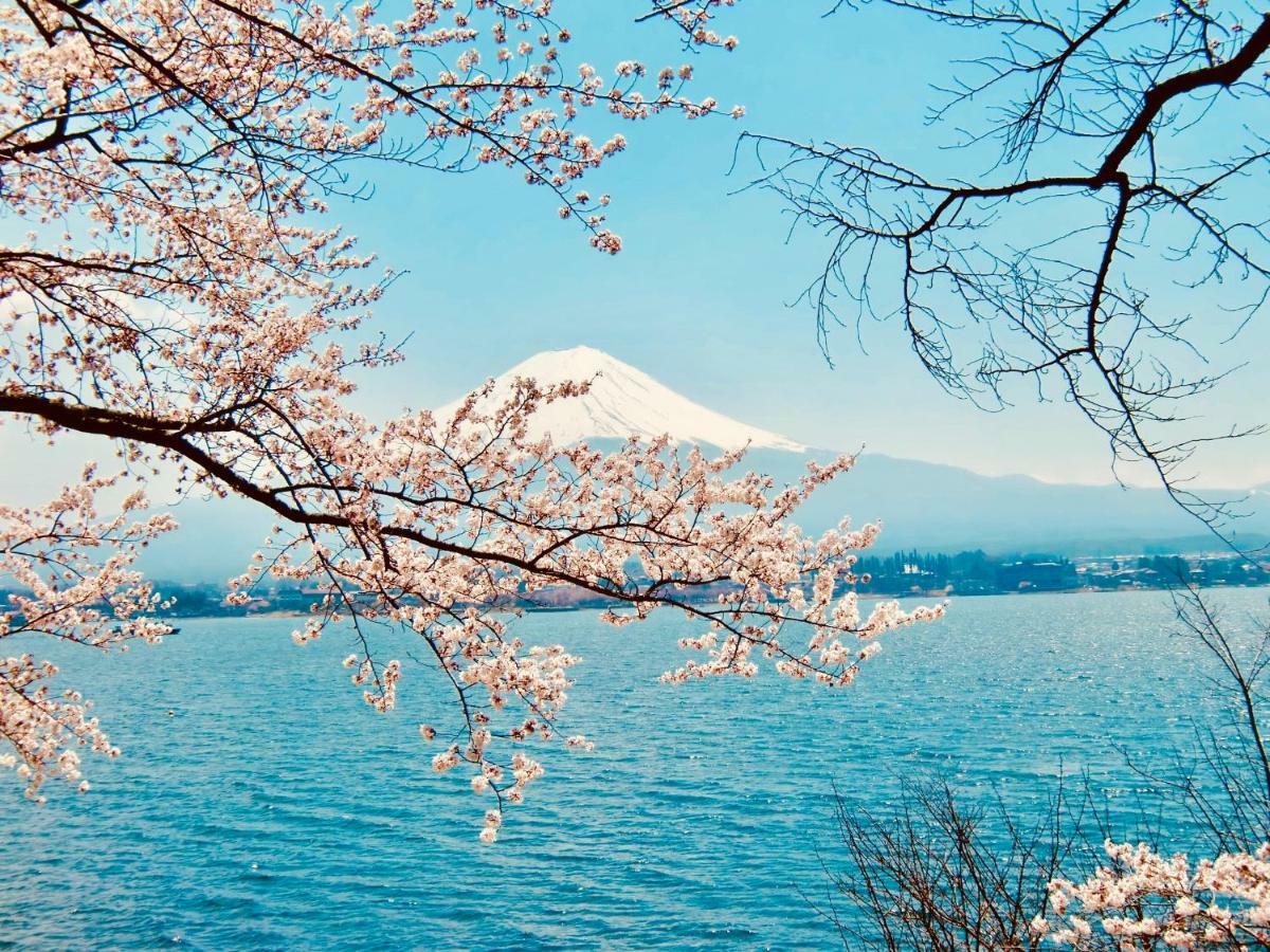 Mt Fuji Cat&Dog&Spa Pension Blue Poppy Fujikawaguchiko Ngoại thất bức ảnh
